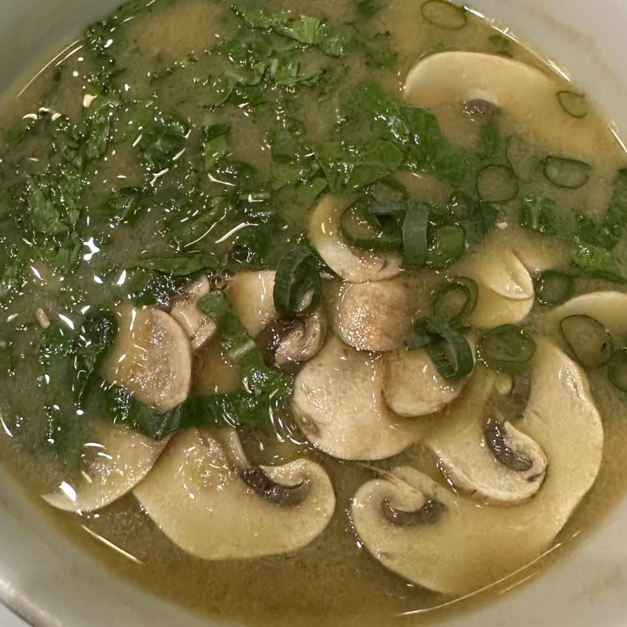 Sagradas Sopas - Miso Nación