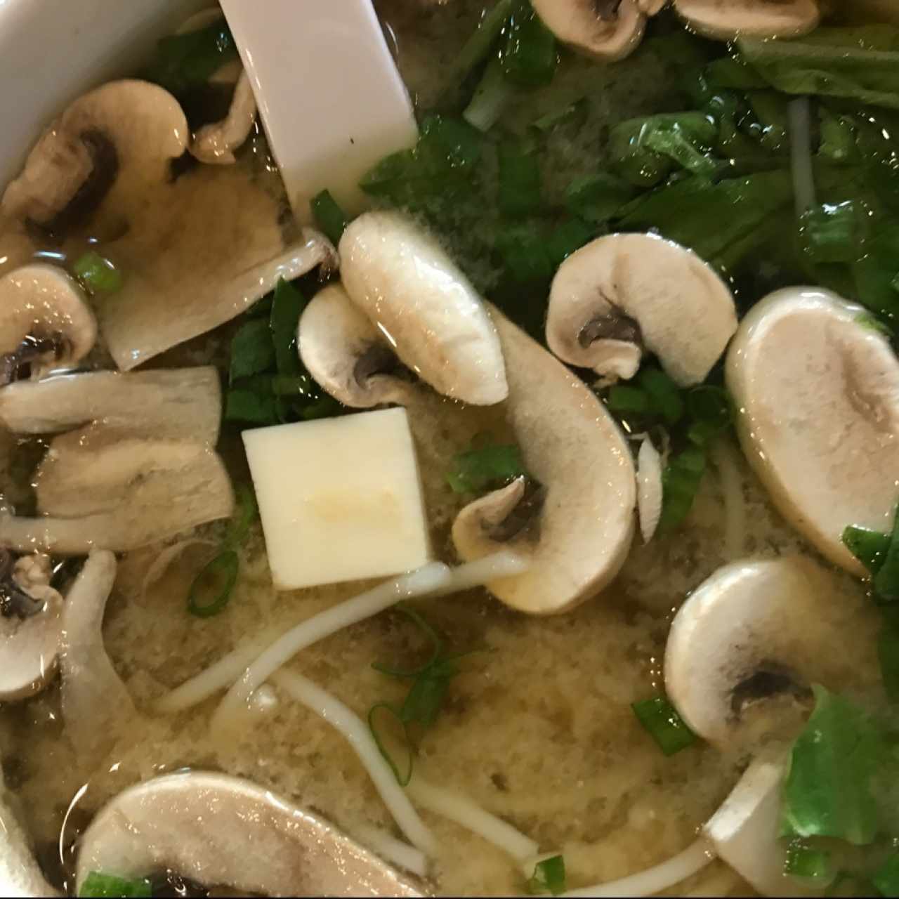 sopa miso