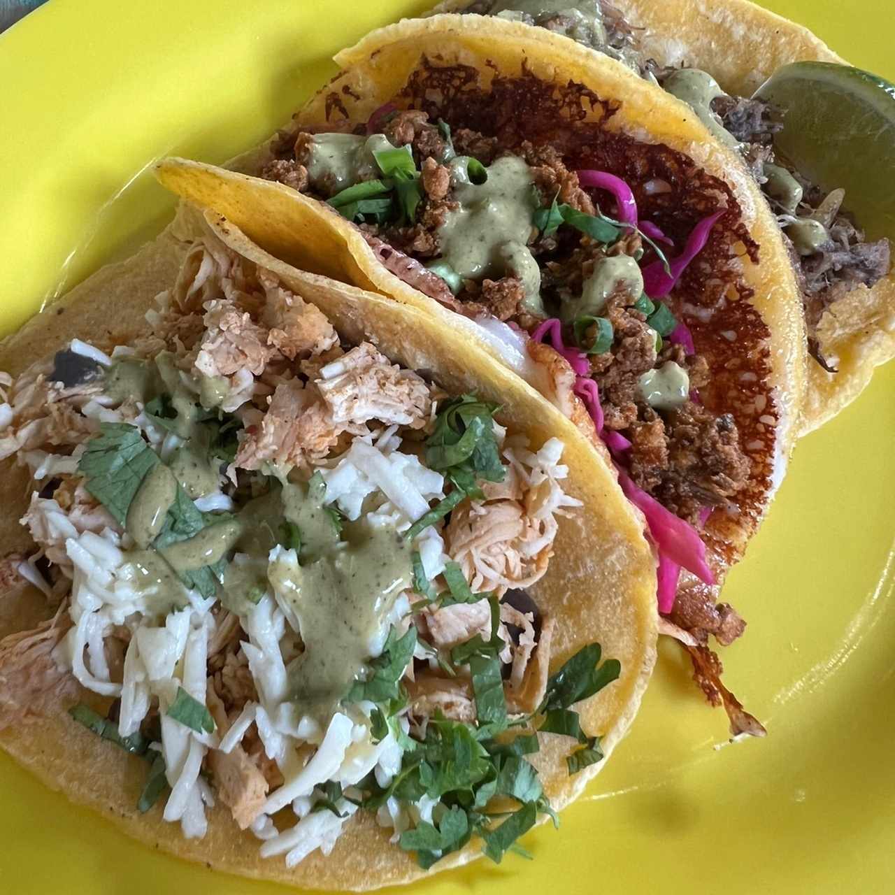 Tacos Tropicales - Carnitas