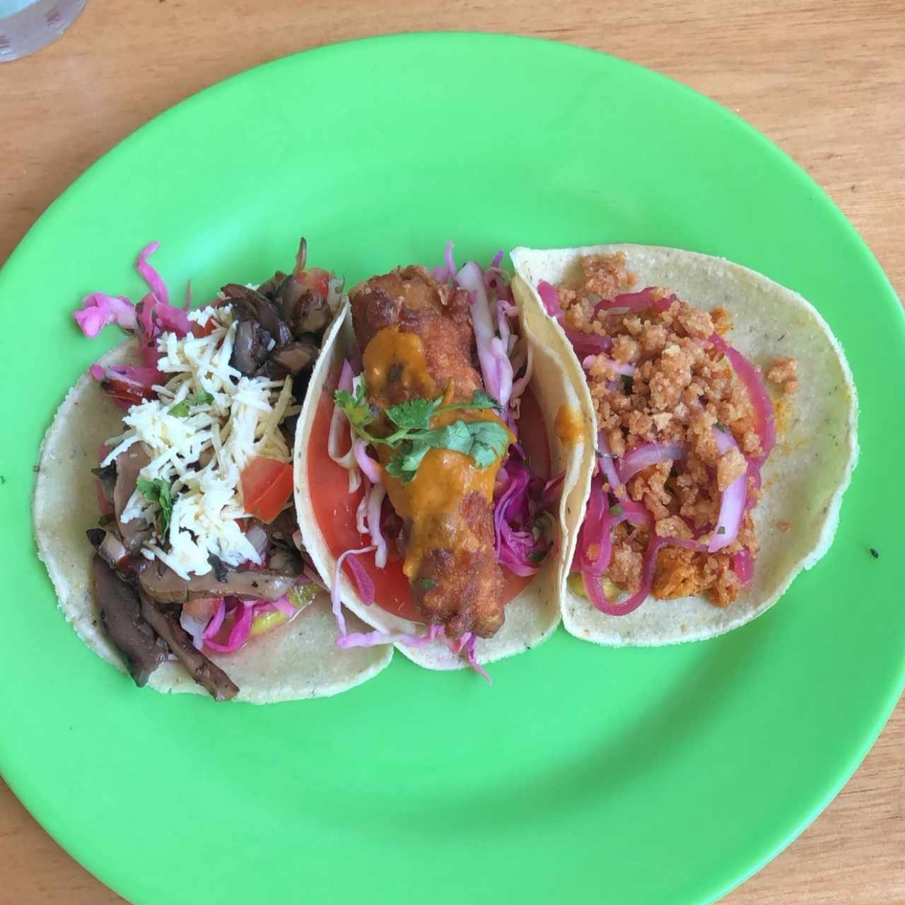 Taco vegetariano, Mariachi Chorrillo y Cochinita Pibil