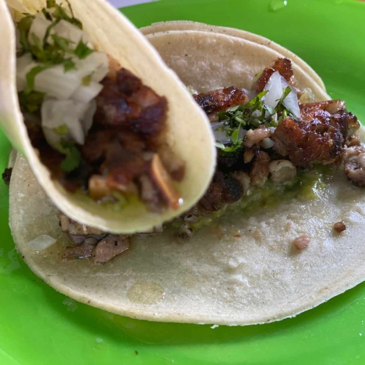 Tacos Tropicales - Cochinita Pibil