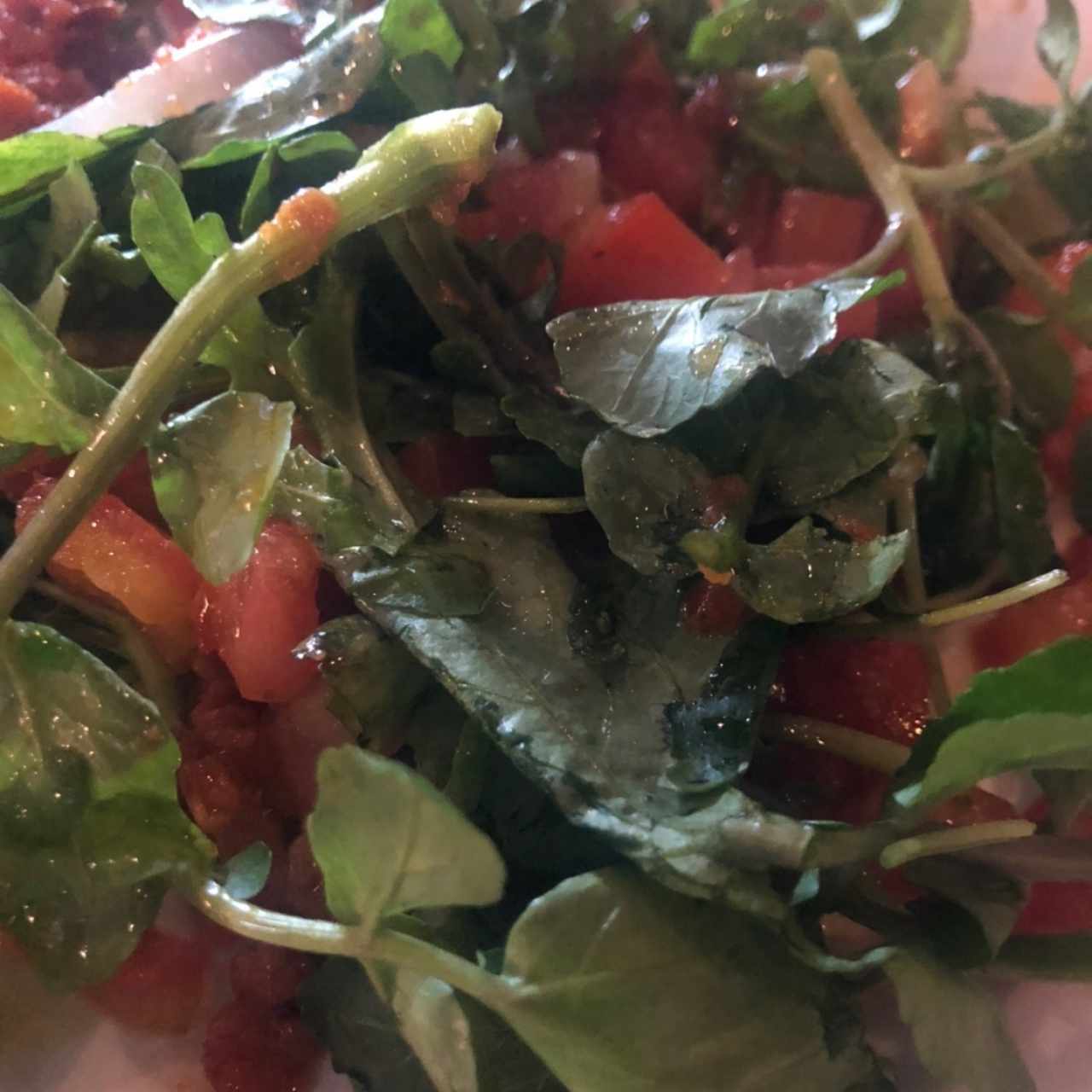 Ensalada de la casa