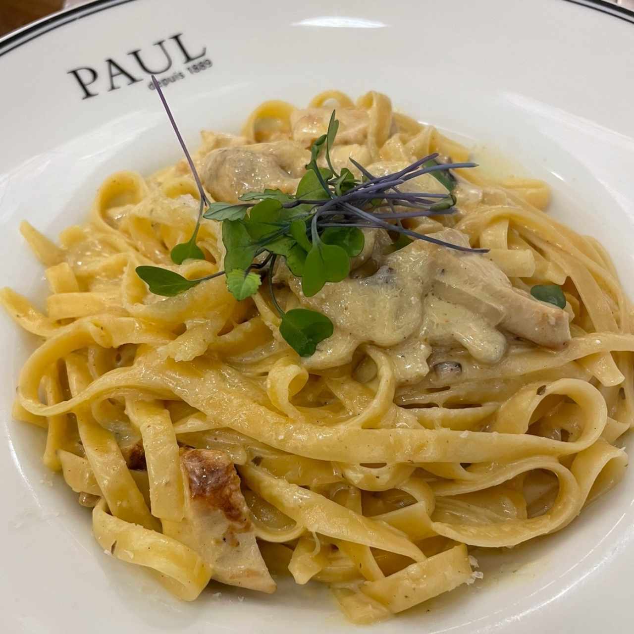 fettucine con pollo y champiñones