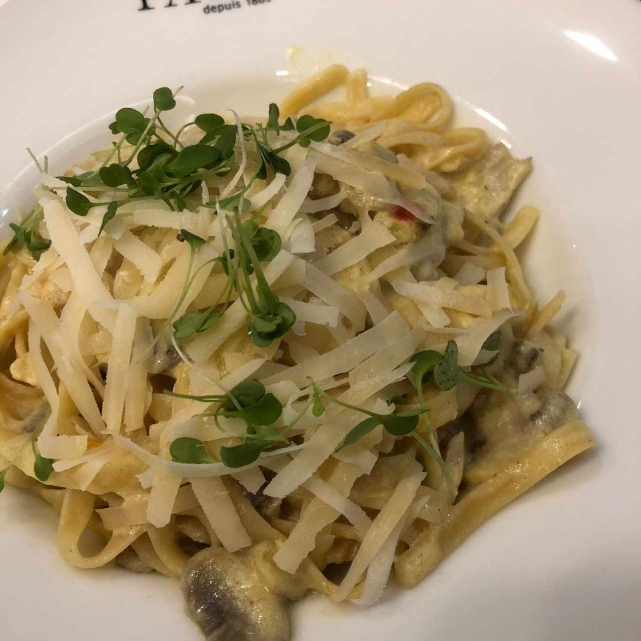 Fettuccine