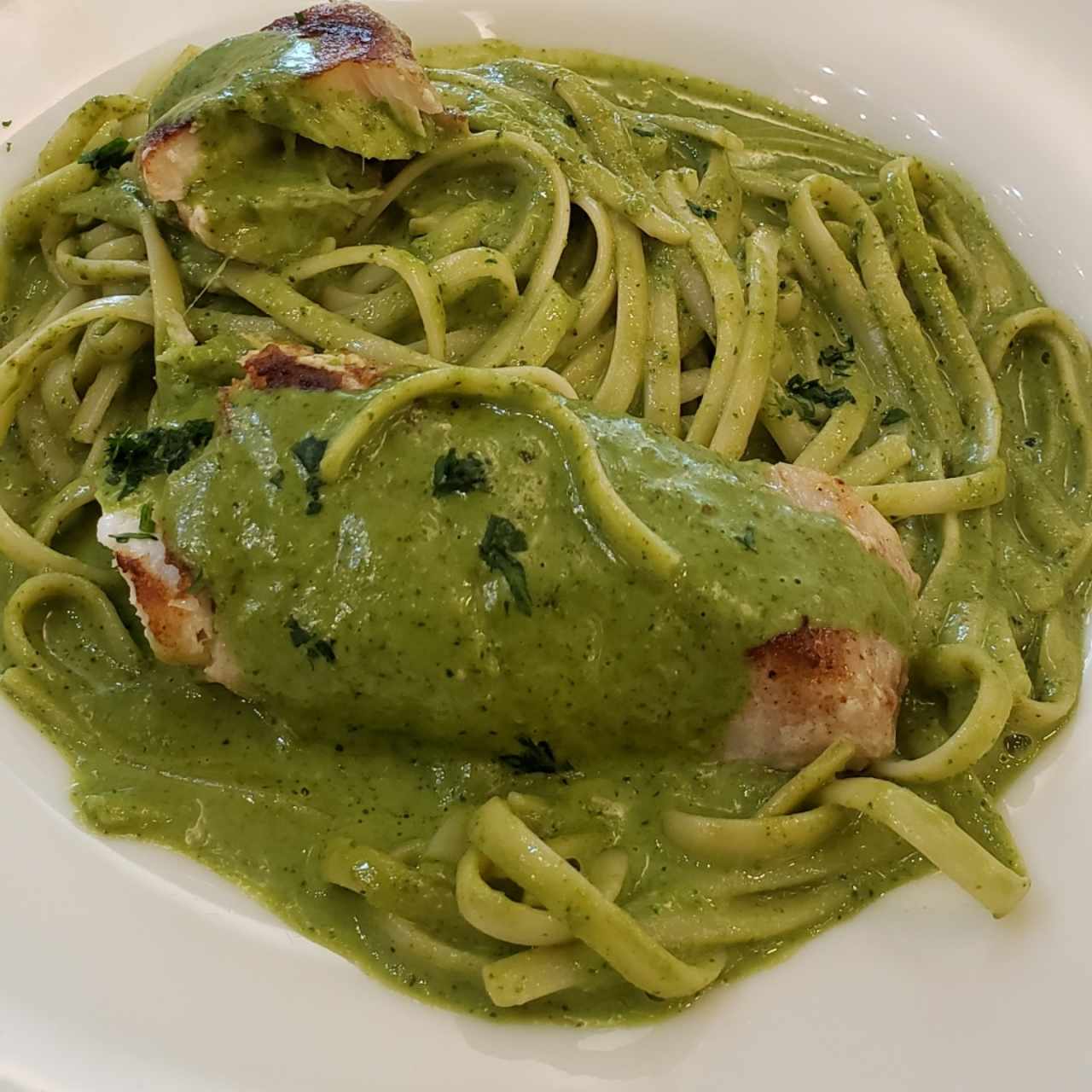 corvina con pasta al pesto