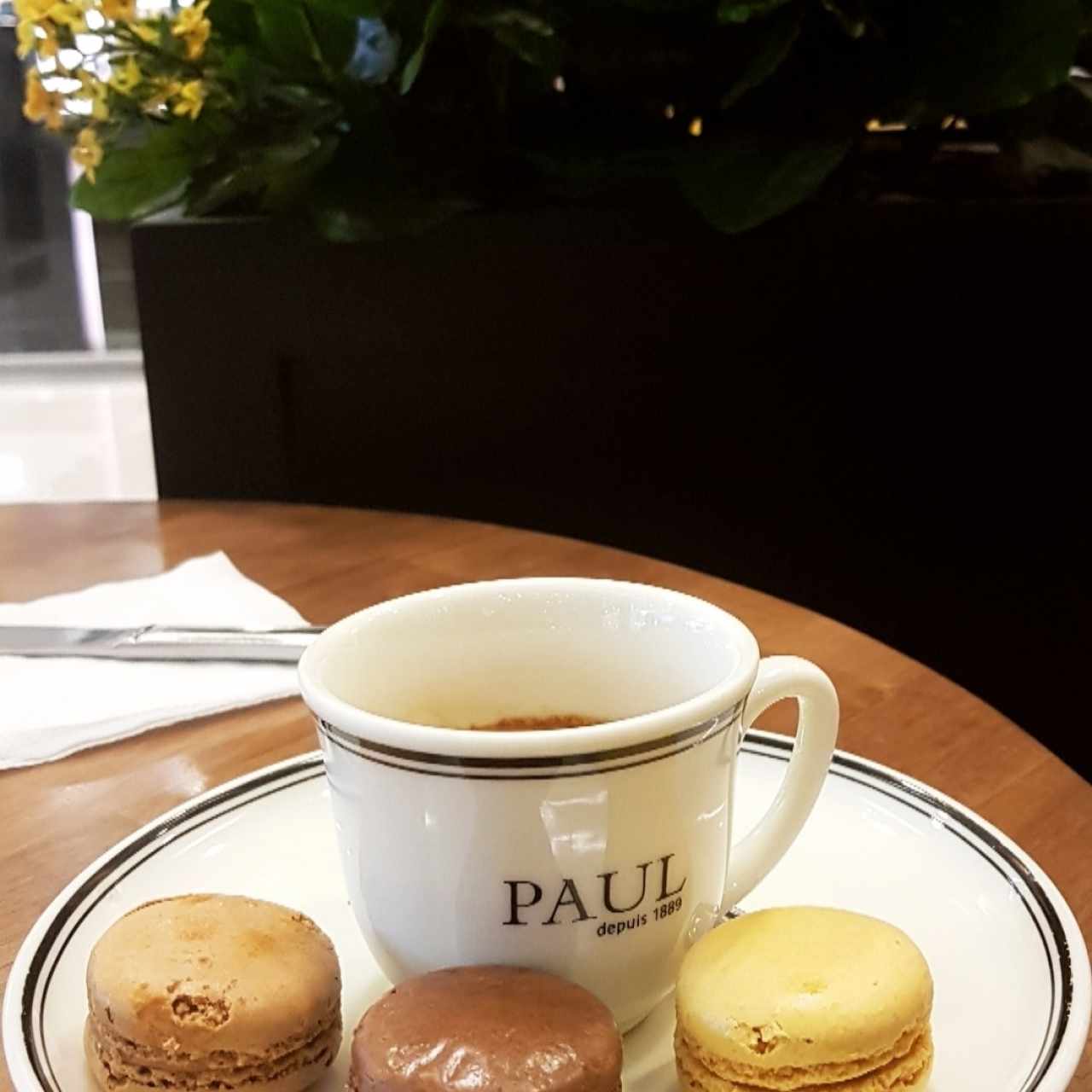 café y macaroon