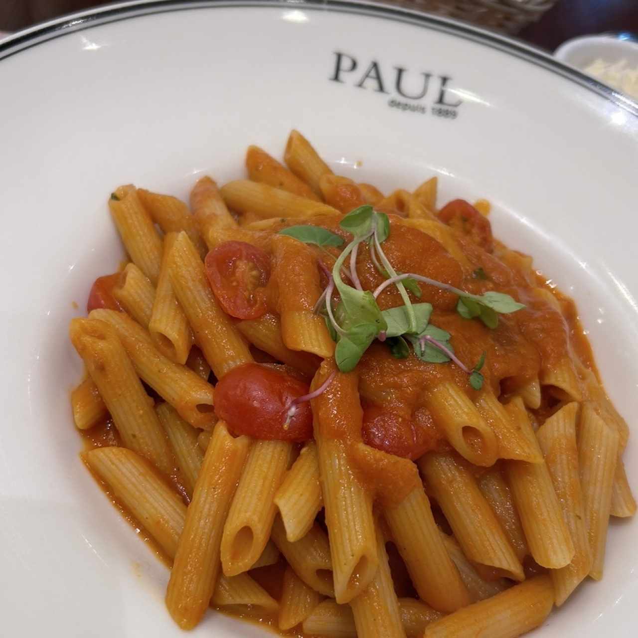 Penne au Basilic et aux Tomates