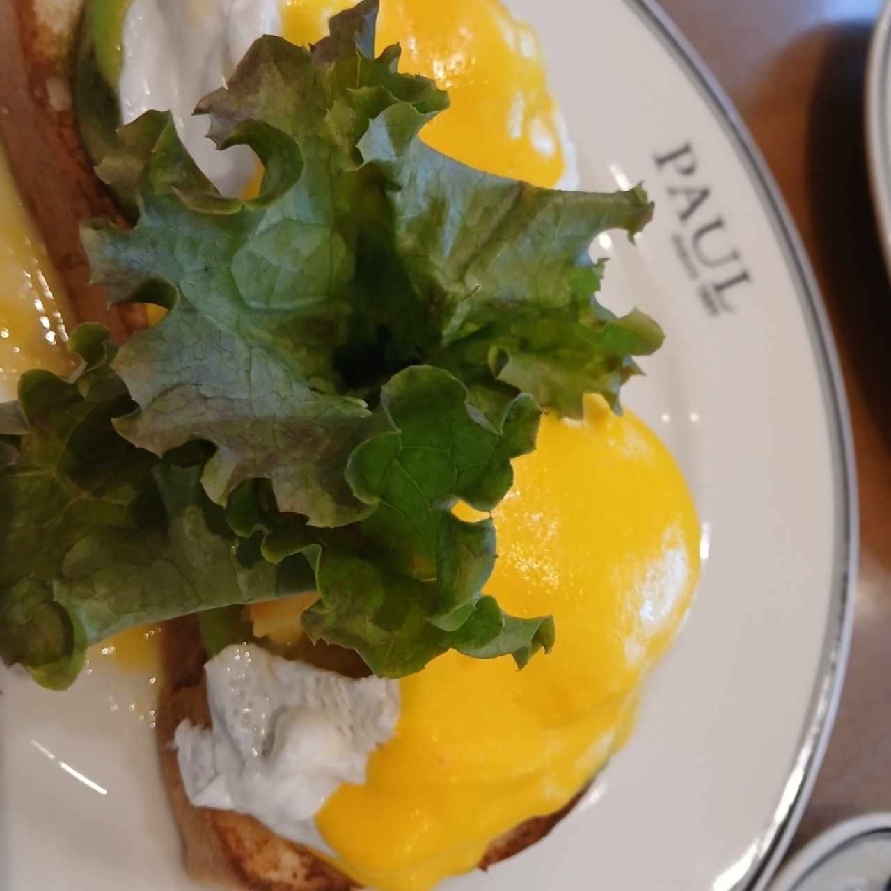 Oeufs Bénédictine au Homard et Avocat