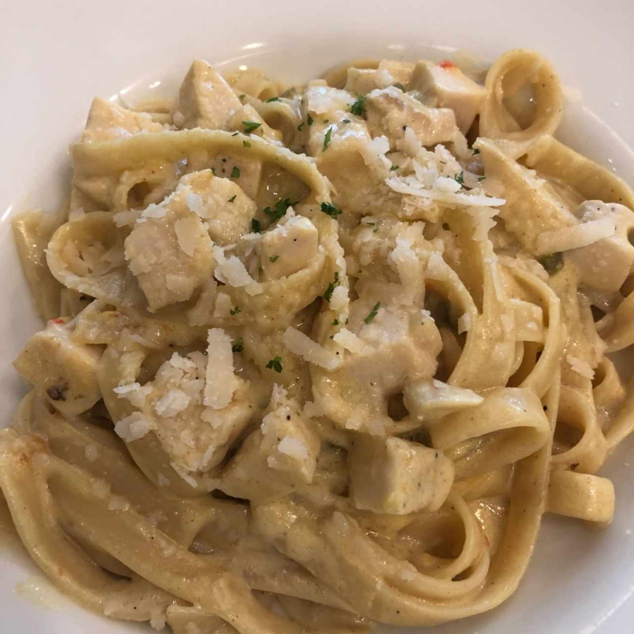 Pasta de Pollo en Salsa Blanca 