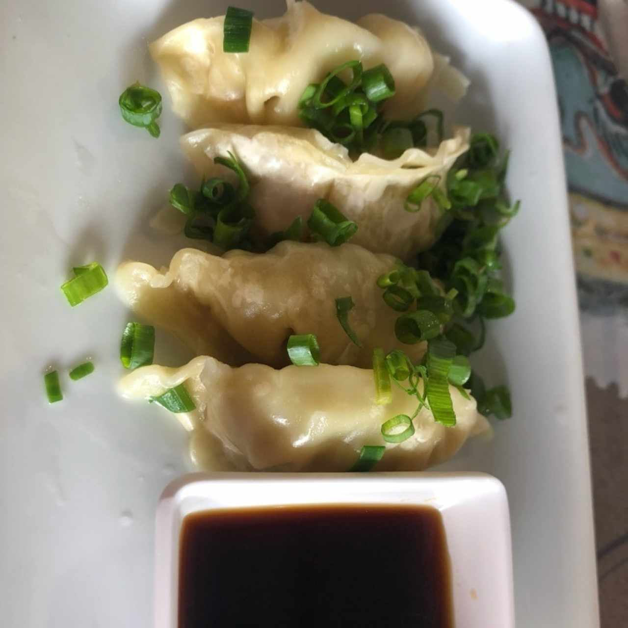 Gyozas mixtas 