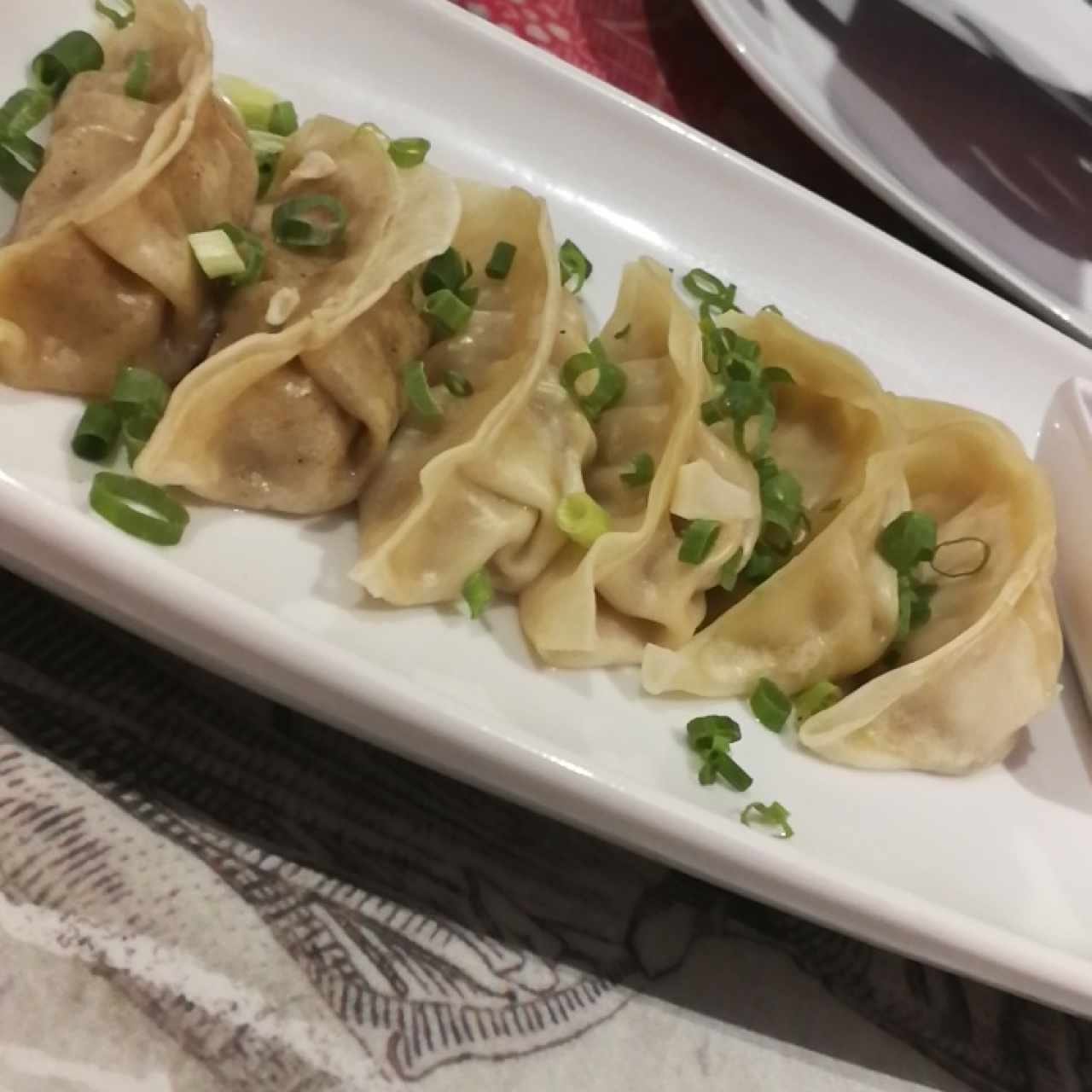 Tentadoras entradas - Gyozas mixtas