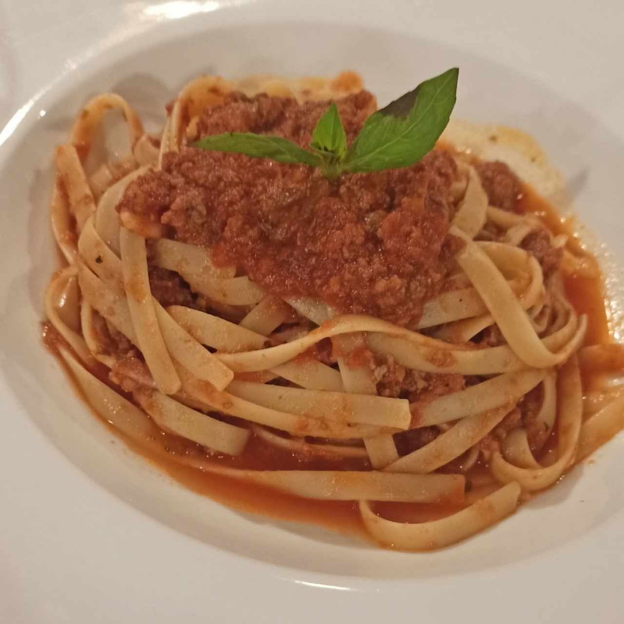 Fetuccini bolognesa 