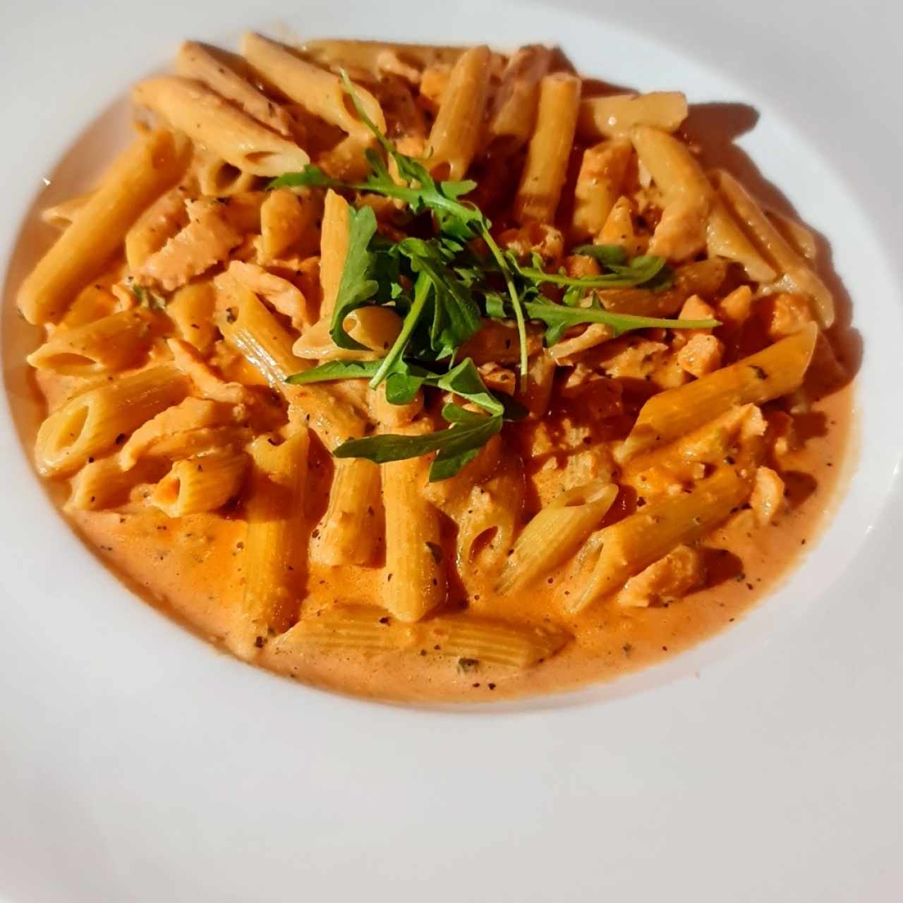 Penne de salmón 