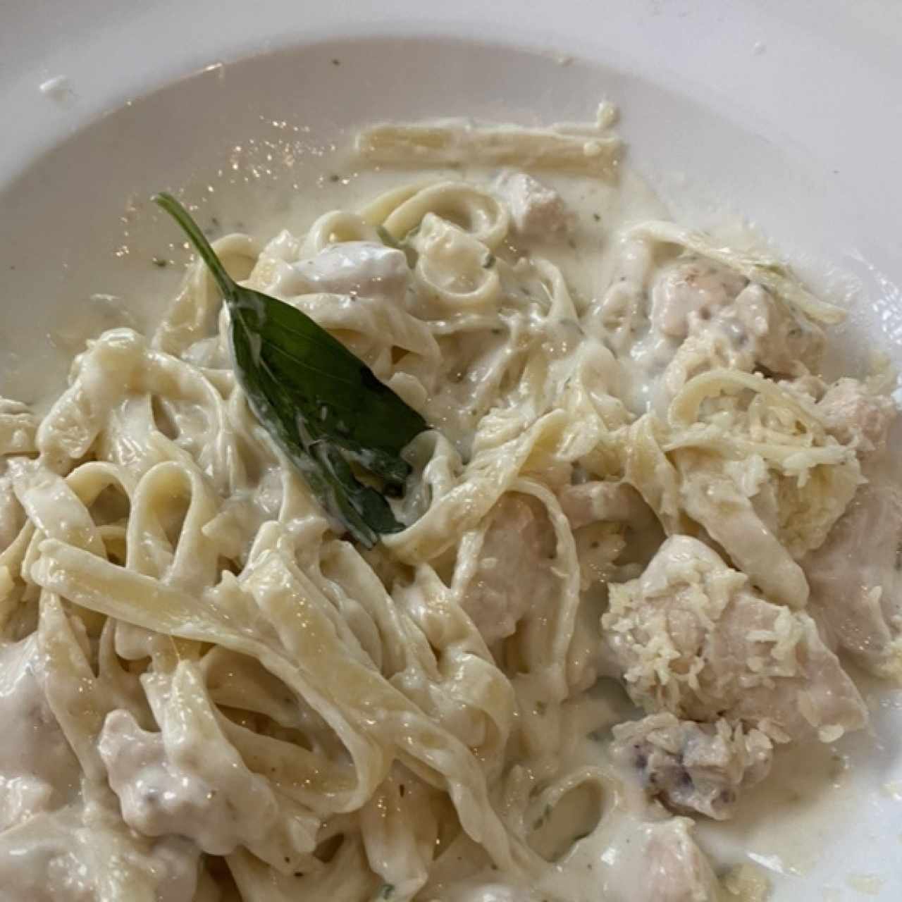 Extra Contorni - Pasta Alfredo