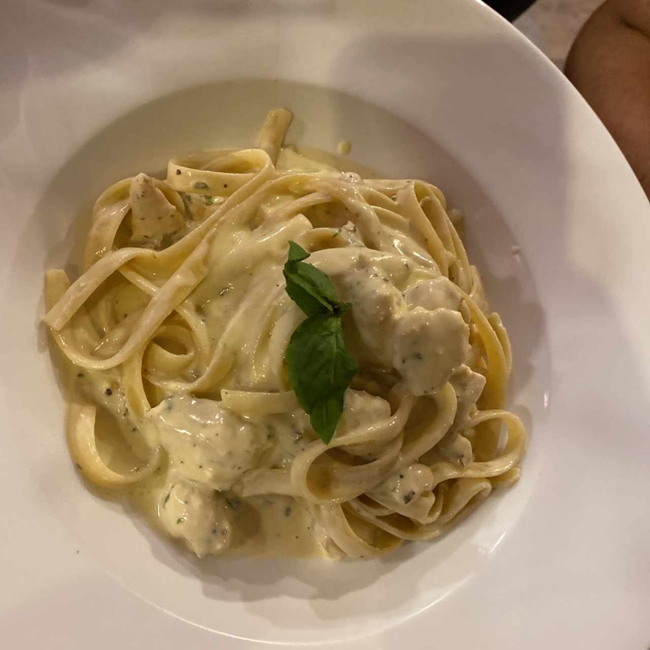 fettuccini alfredo