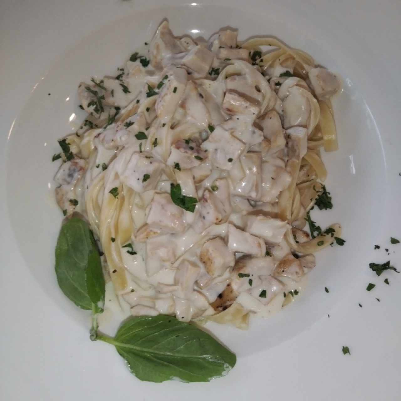 Fettuccini alfredo con pollo