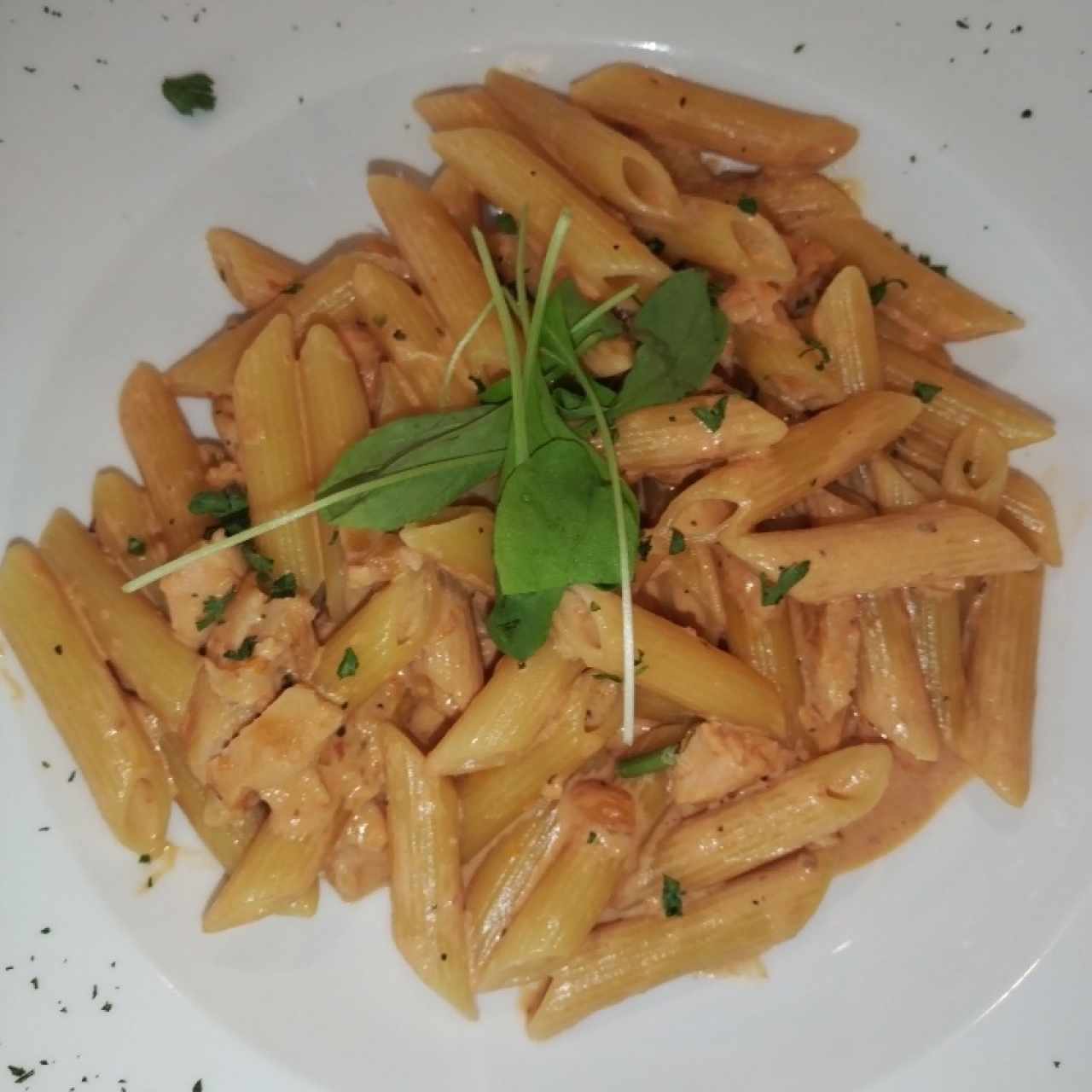 Penne con salmón 