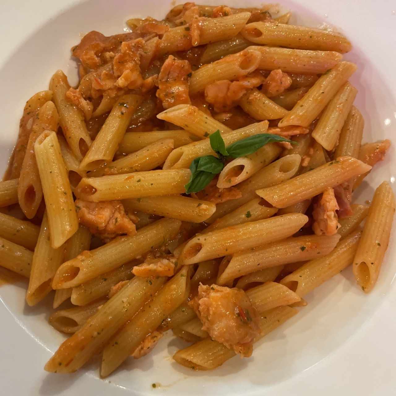 Penne de salmón a la vodka 