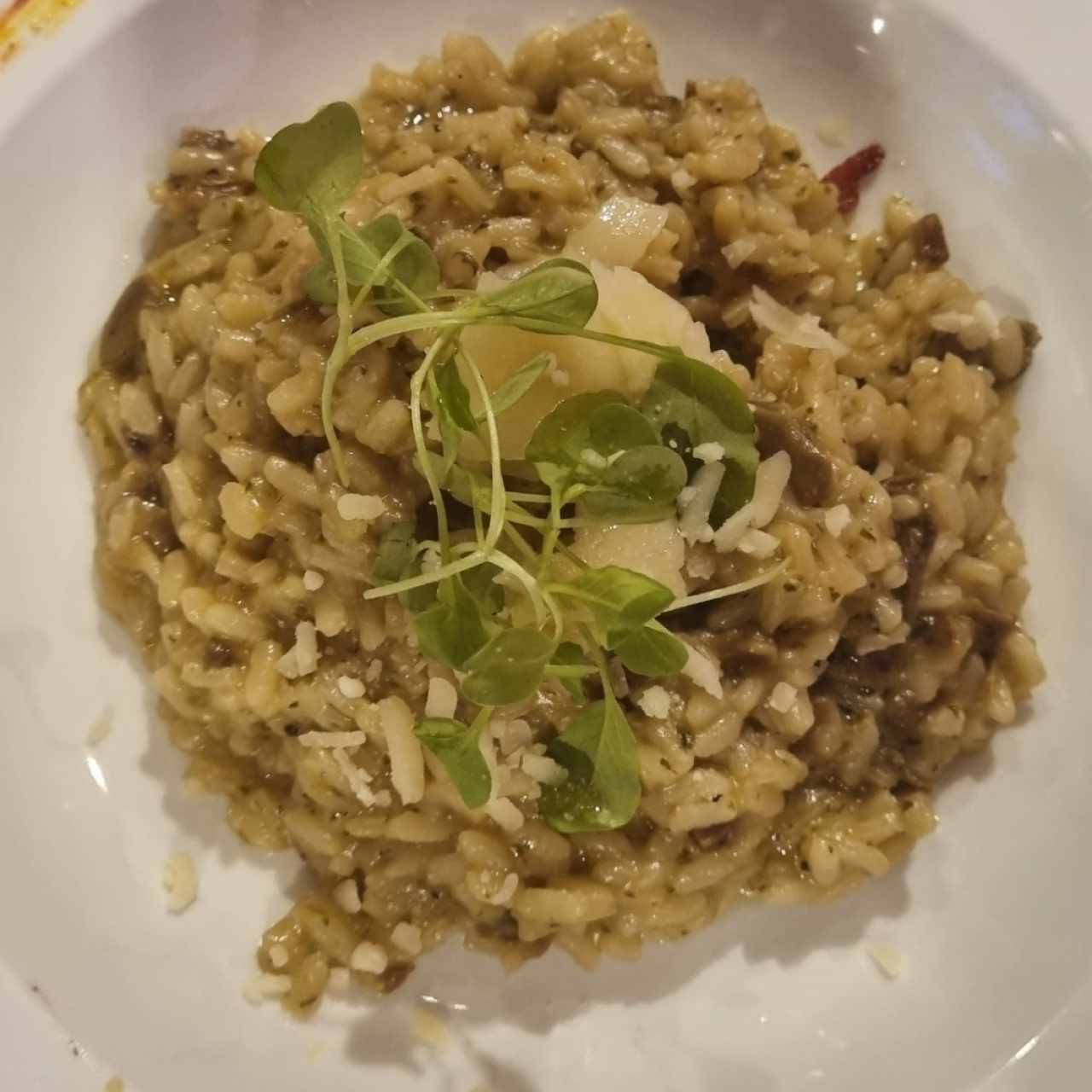 Risotto porcini tartufo