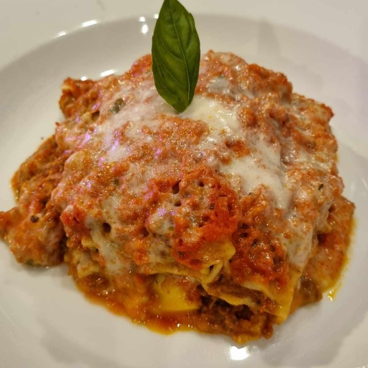 lasagna a la bolognesa