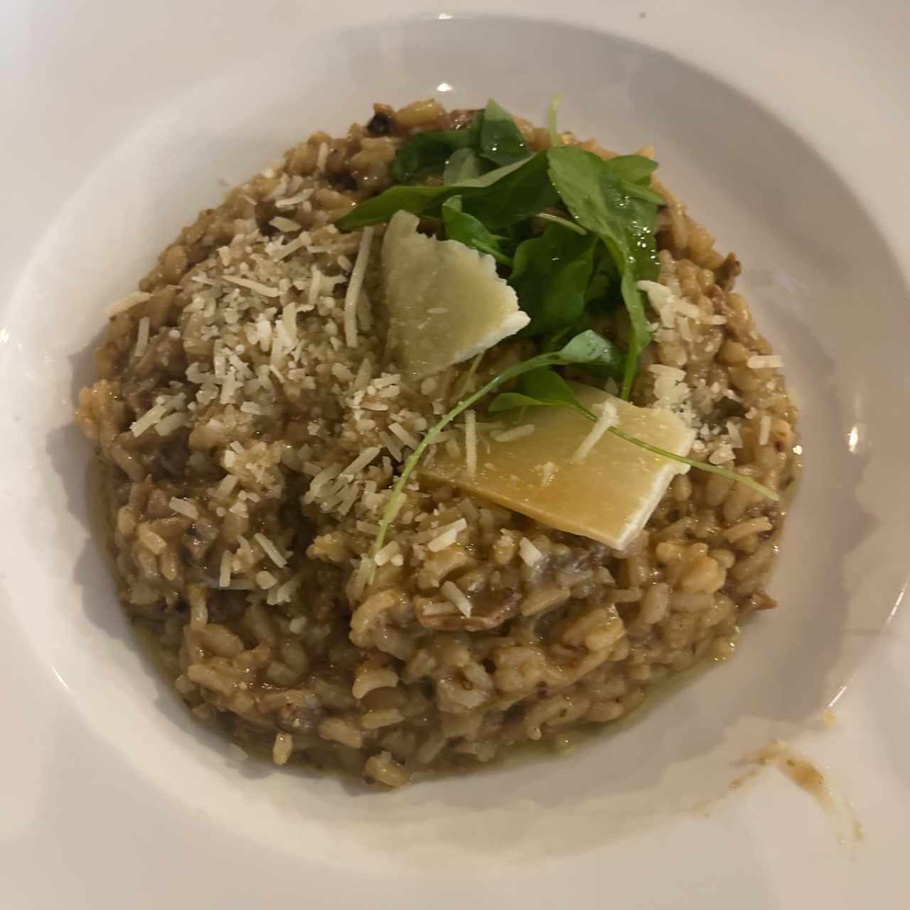 Risotto porsine