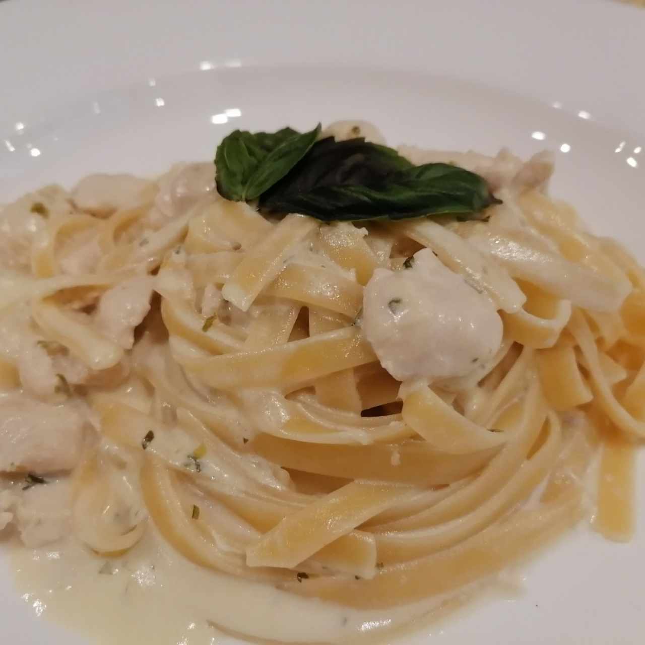 Fettucinne Alfredo Pollo 