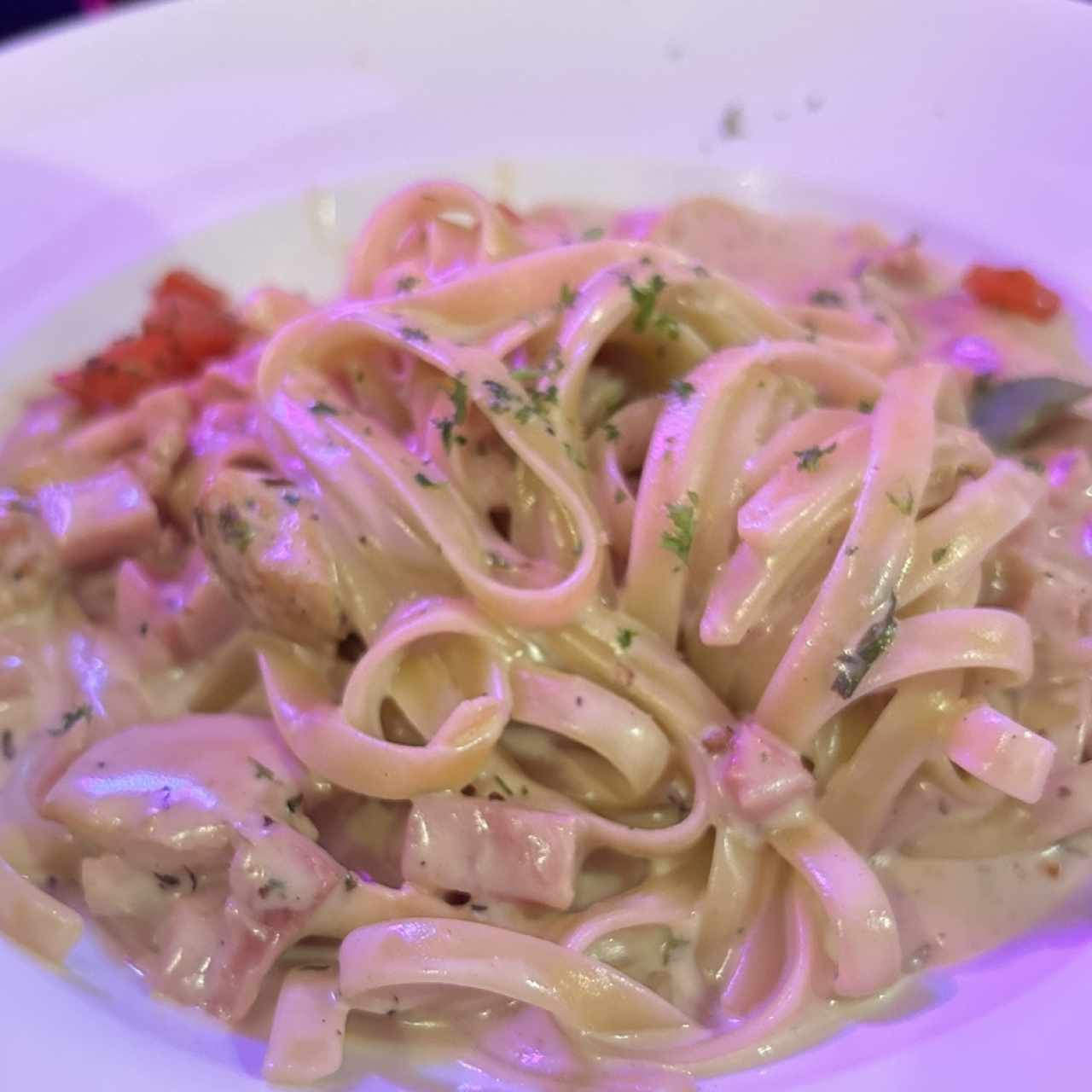 Paste - Fettucinne Alfredo Pollo