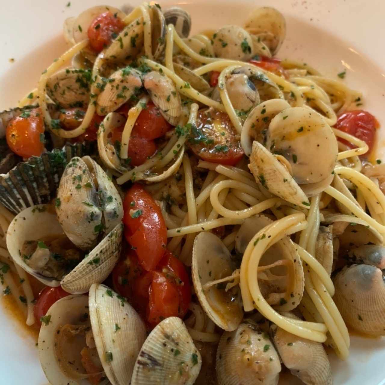 Paste - Spagetti alle Vongole