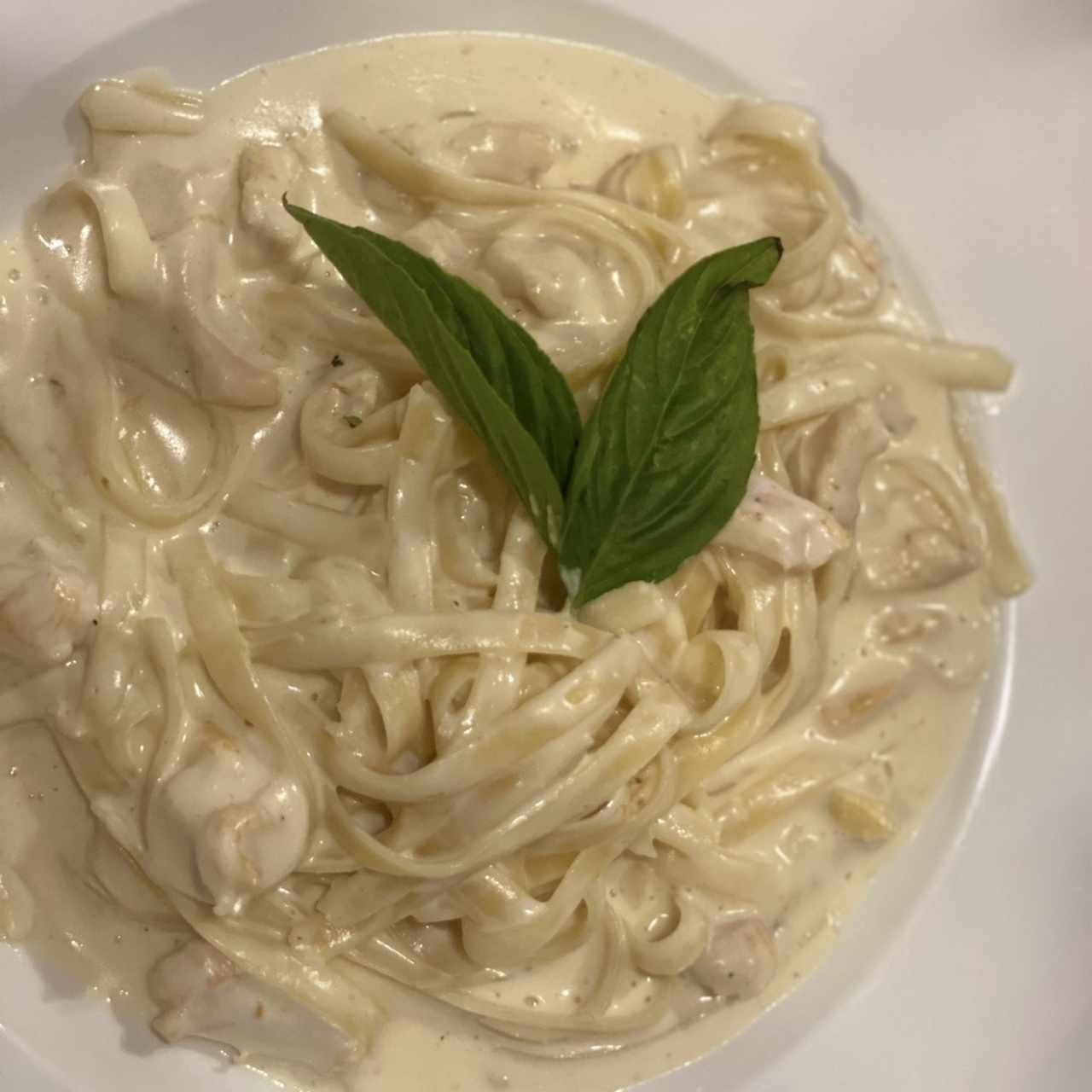 Fetuccini de pollo 