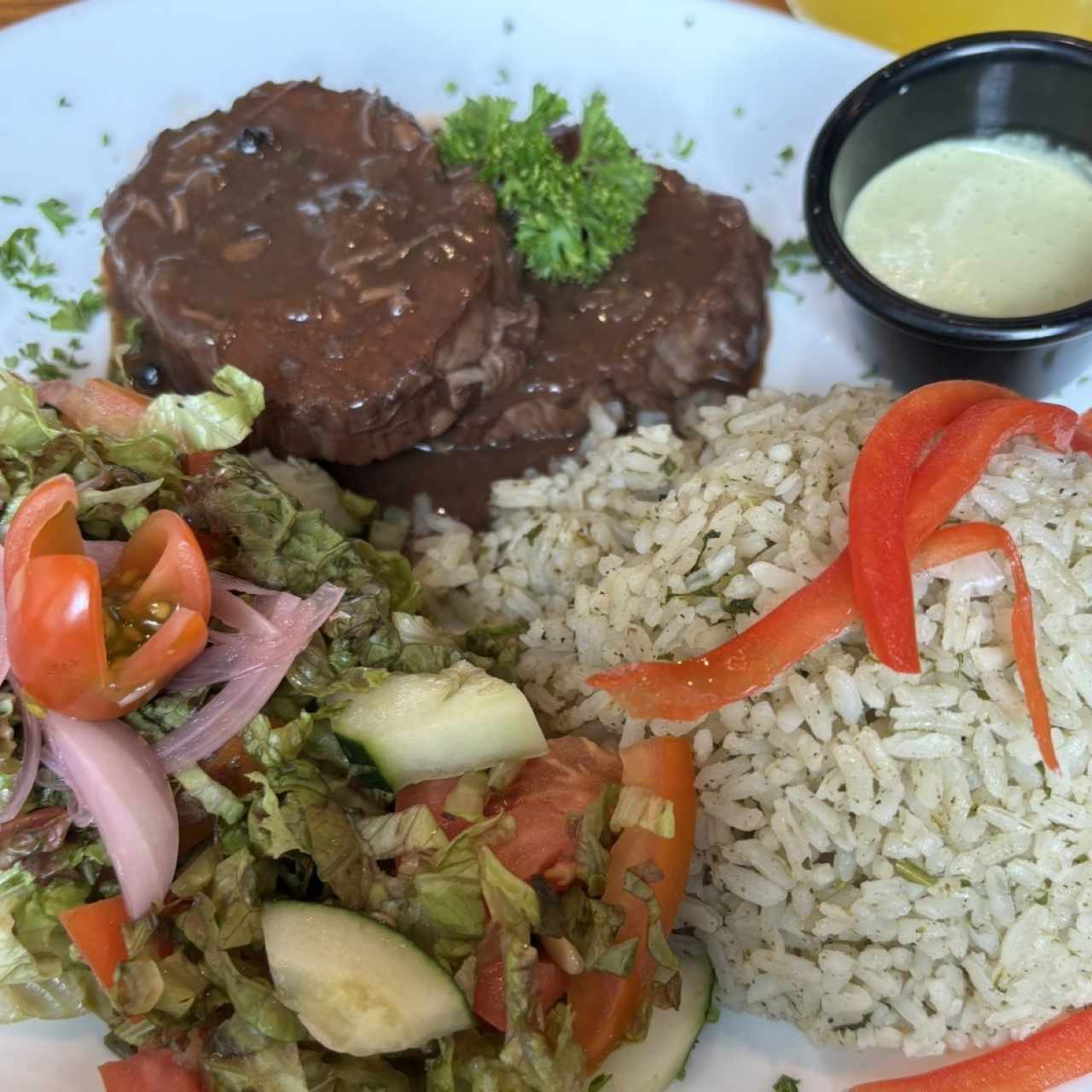 Lomo en Salsa de Vino con Arroz Verde y Ensalada a la Huerta