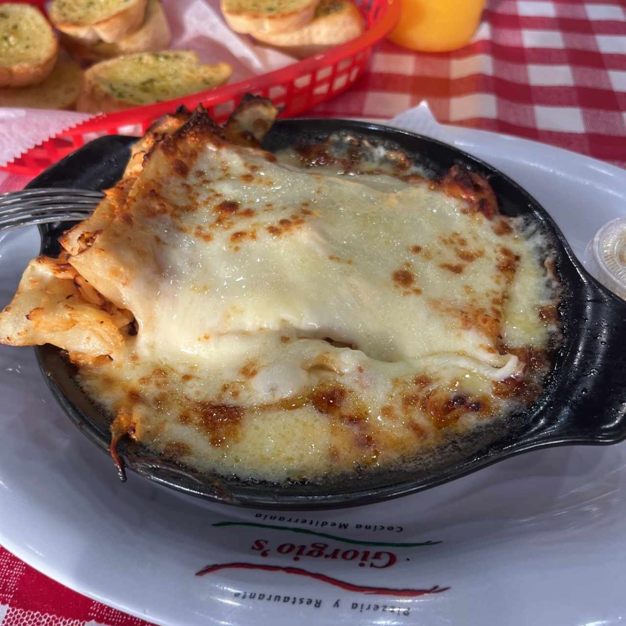 Lasagna de pollo con salsa