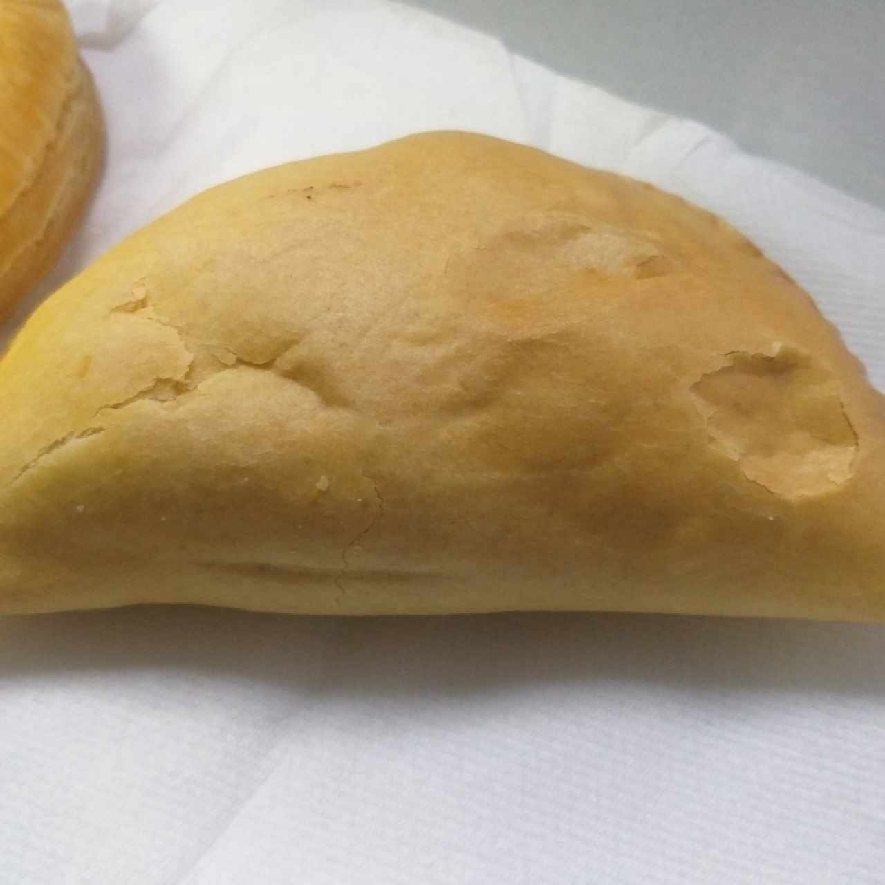 empanada de pollo