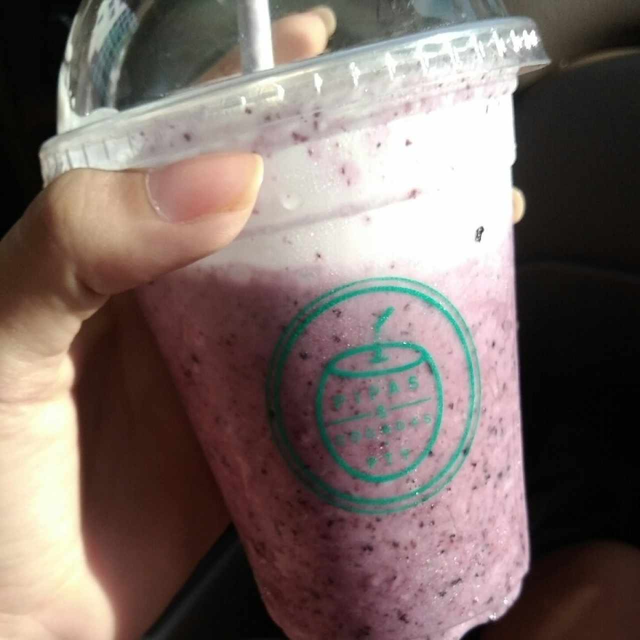 Blueberry Cocada