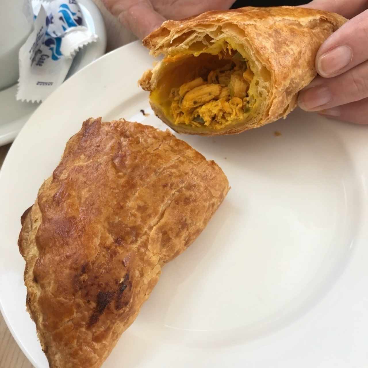 pastelito de pollo