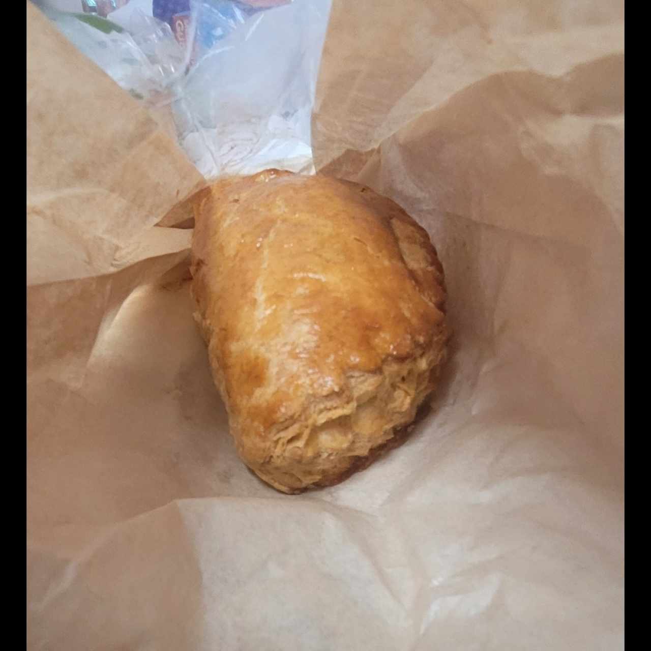 Pastelito de Pollo 