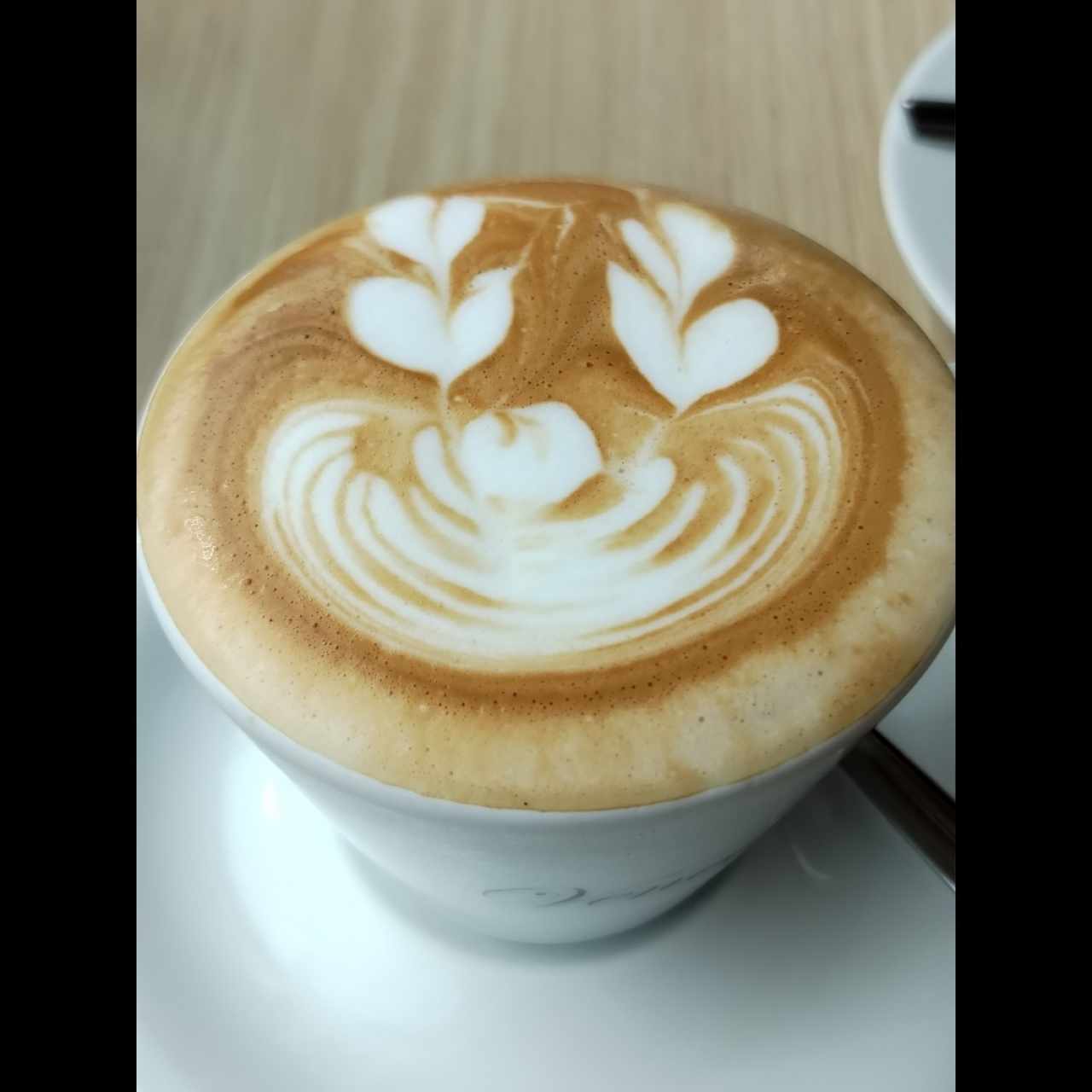  Capuchino 