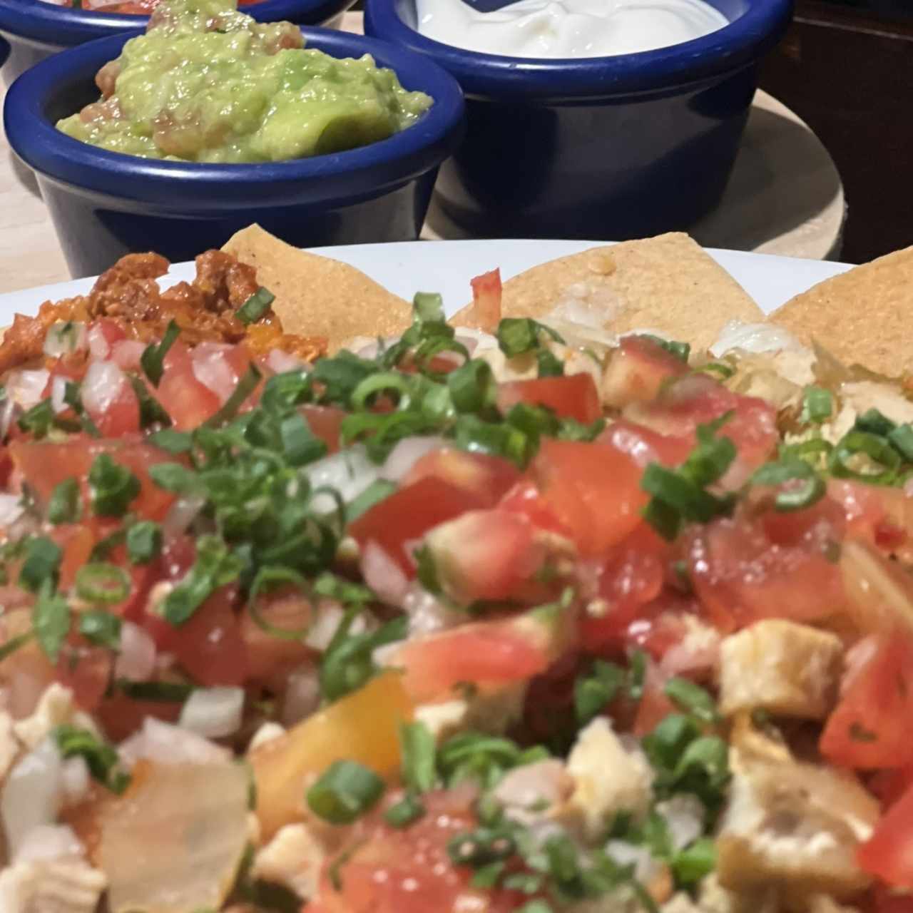 Nachos mixtos 