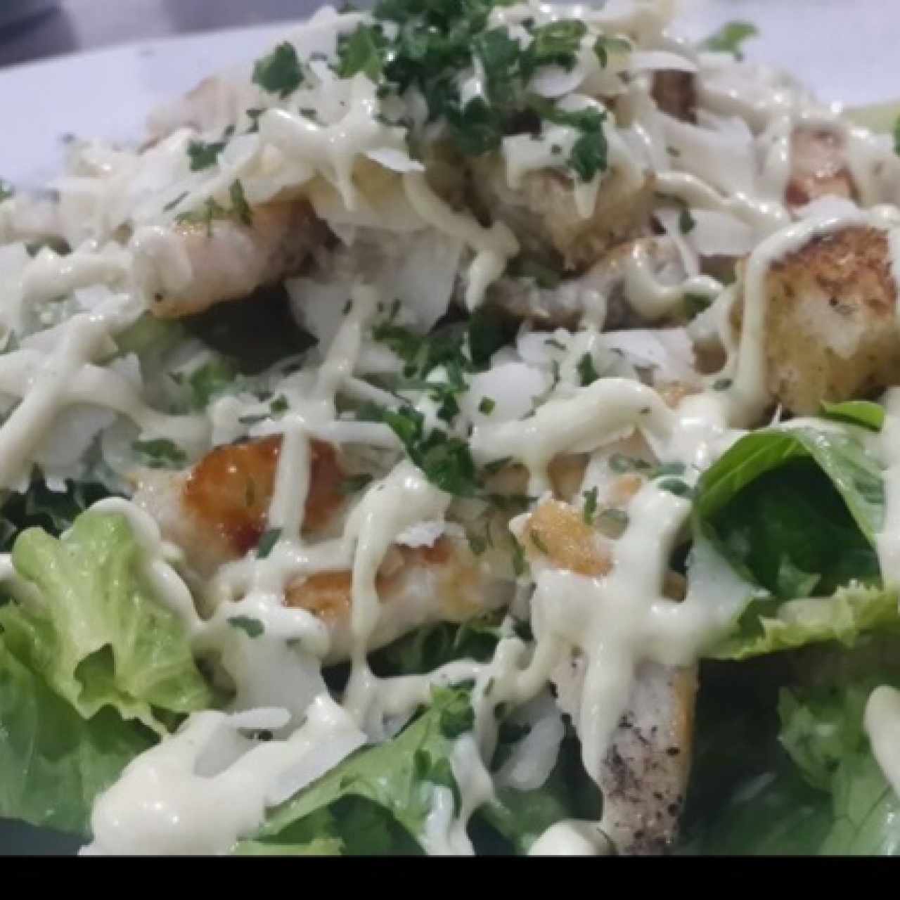 insalata cesar con pollo