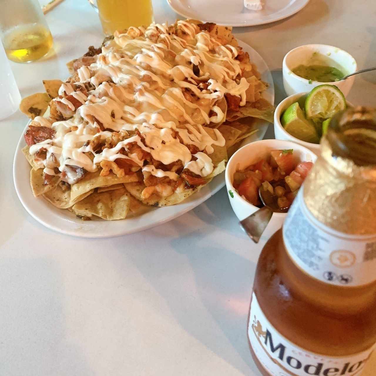 Nachos de dos carnes( al pastor y pollo)