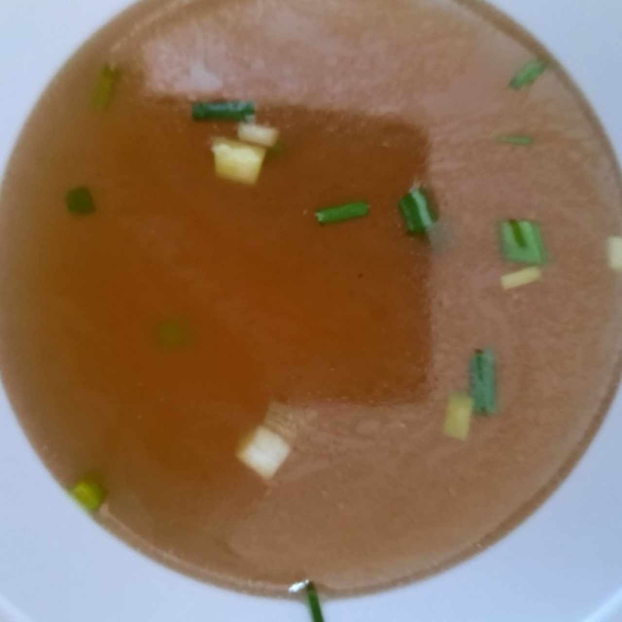 sopa