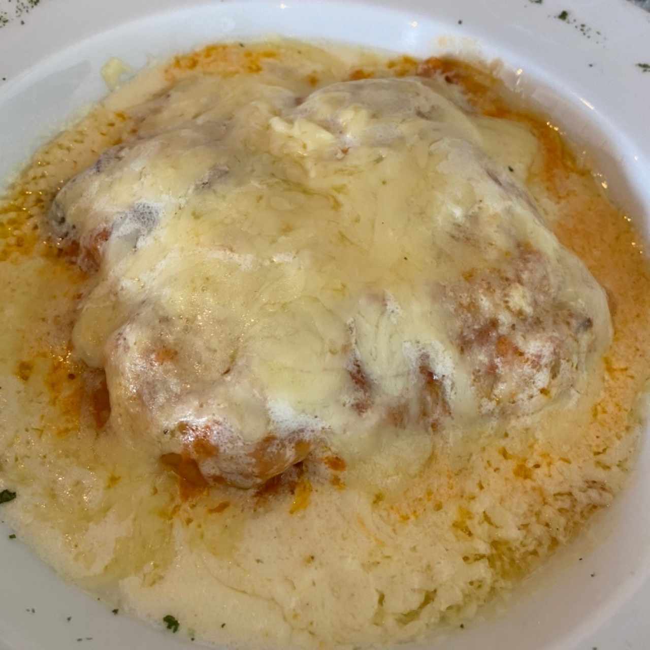 Lasagna de Carne o Pollo