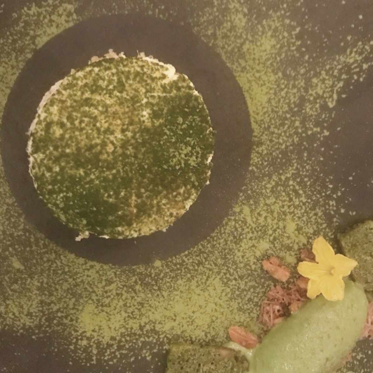 tiramisu matcha - fantastico