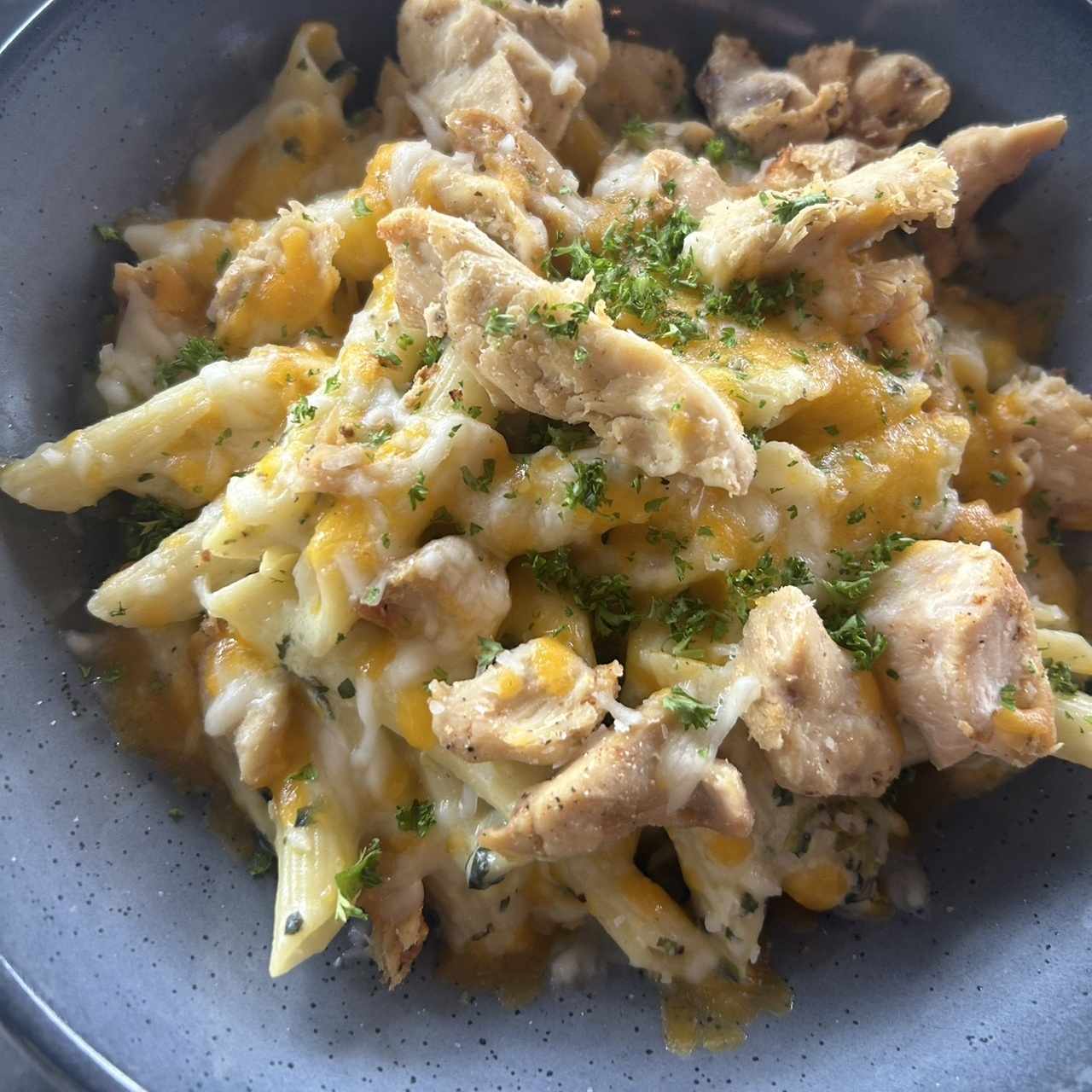 Pasta alfredo con pollo y quesos