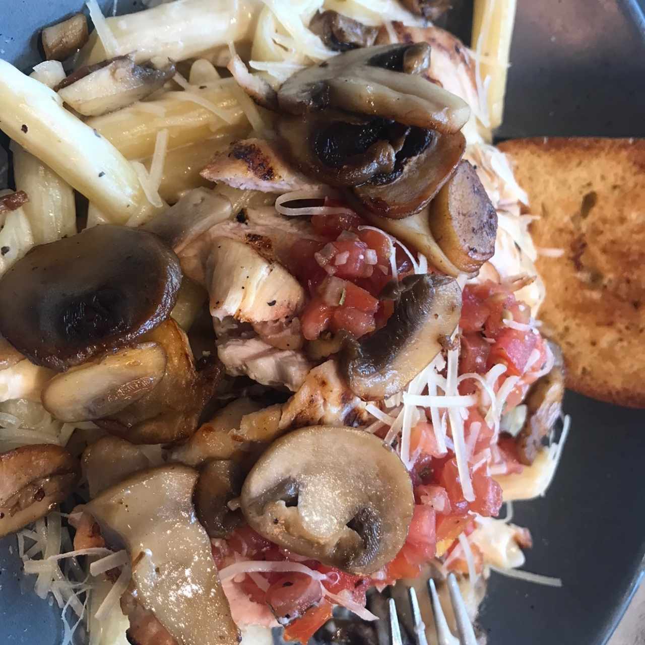 Pasta Tres Quesos con Hongos