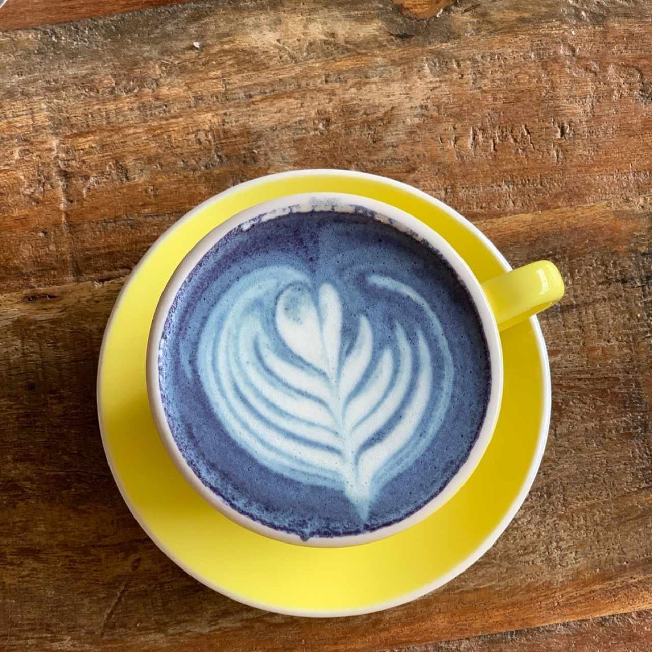 blue matcha latte