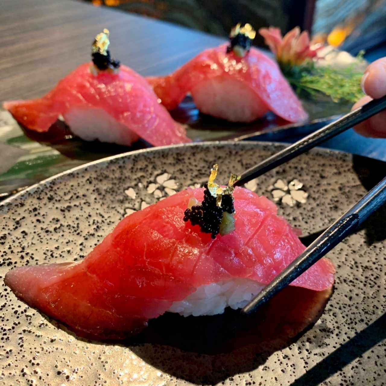 amante del mejor nigiri