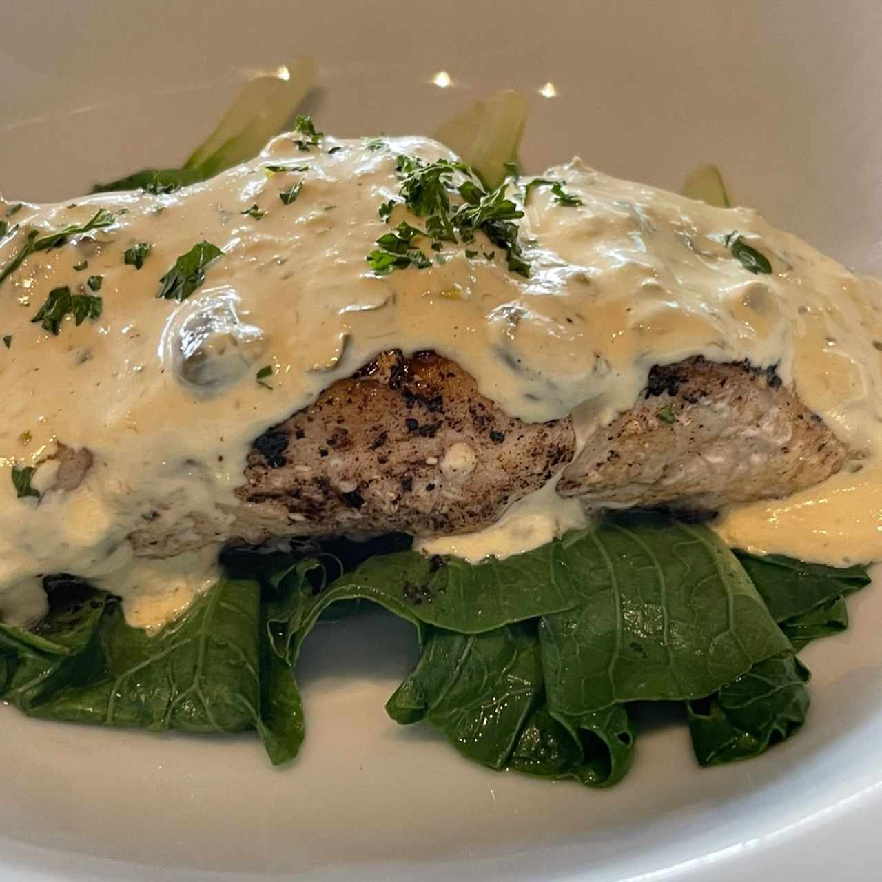 Corvina con crema de alcaparra salsa