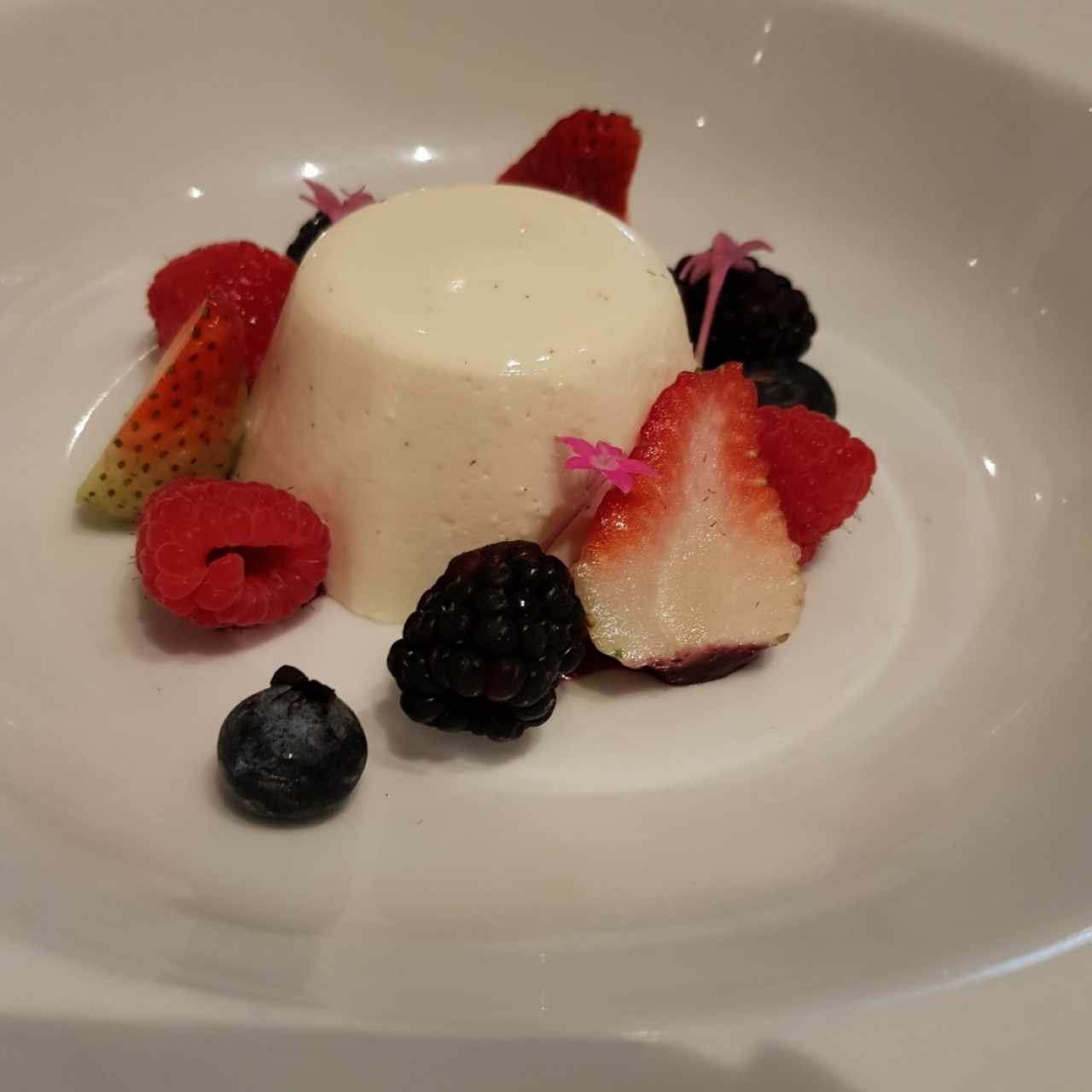 Pannacotta (de yogur)