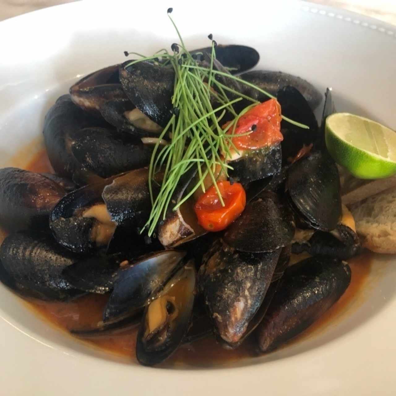 ENTRADAS - MEJILLONES EN CIOPPINO