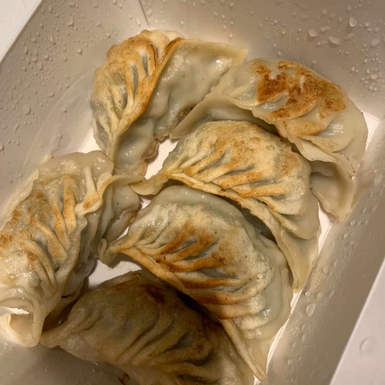 gyozas